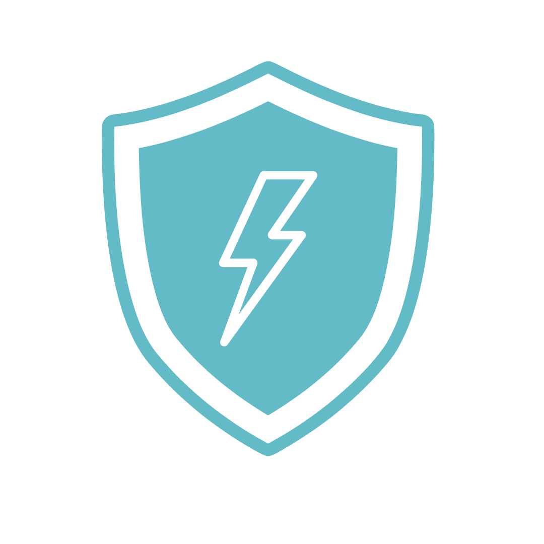 A light turquoise shield icon with a white outline featuring a bold lightning bolt symbol in the center. The icon represents protection or defense, possibly indicating a safety feature or a personal deterrent device, set against a white background.