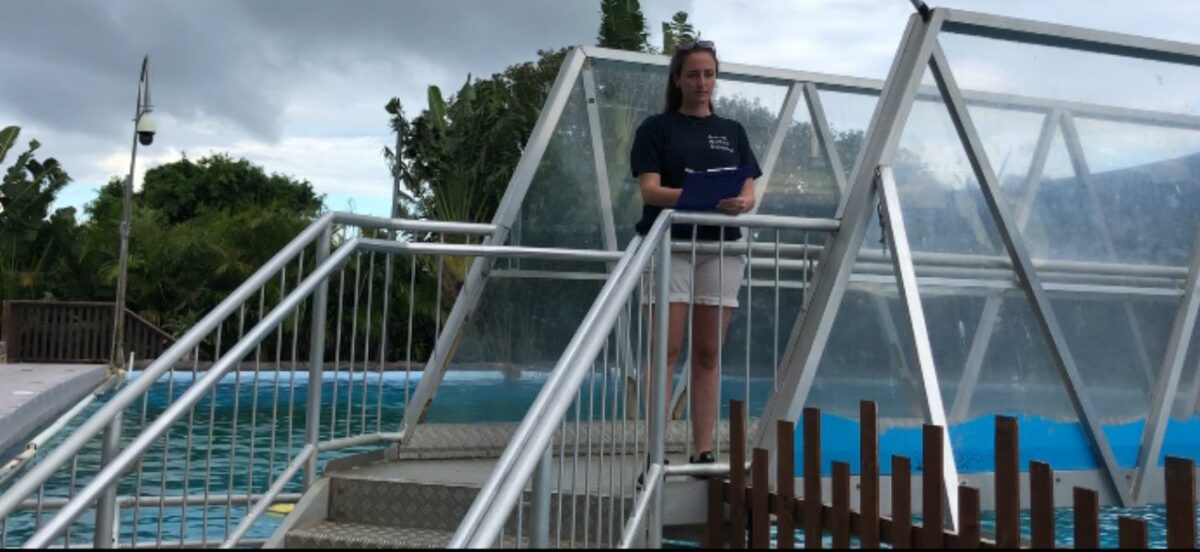 One step closer to Australia’s first sea-pen sanctuary