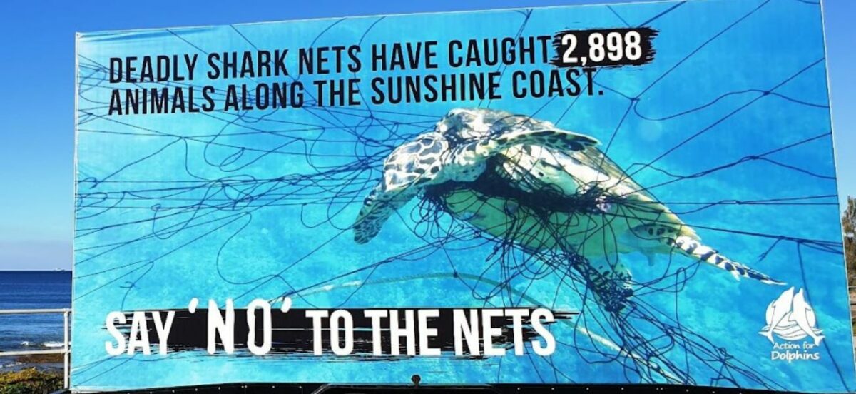 Say no to shark nets billboard in action