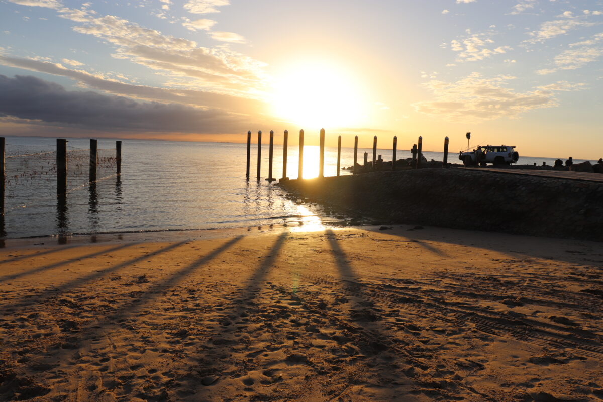 Launching “Minjerribah Mates” to protect marine life on North Stradbroke Island