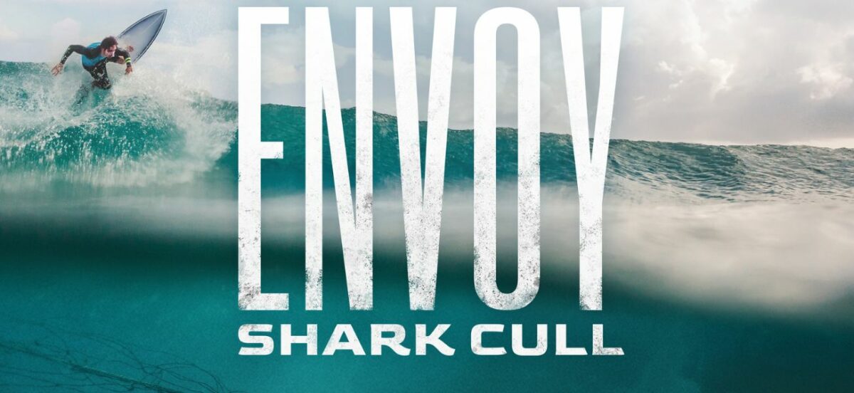 ‘Envoy: Shark Cull’ Melbourne screening