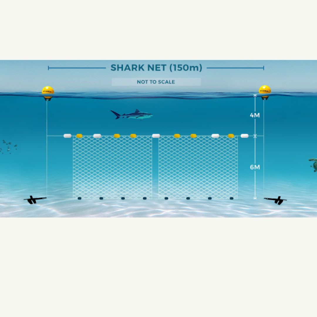 Make 2023 shark nets free and stop marine life suffering