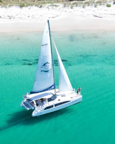 An aerial view of a white sailing catamaran with its sails unfurled, cruising through the shallow turquoise waters near a sandy beach. The boat is branded with 'Dolphin Watch Cruises Jervis Bay', and there are a few passengers visible on deck, enjoying the calm sea and sunny weather