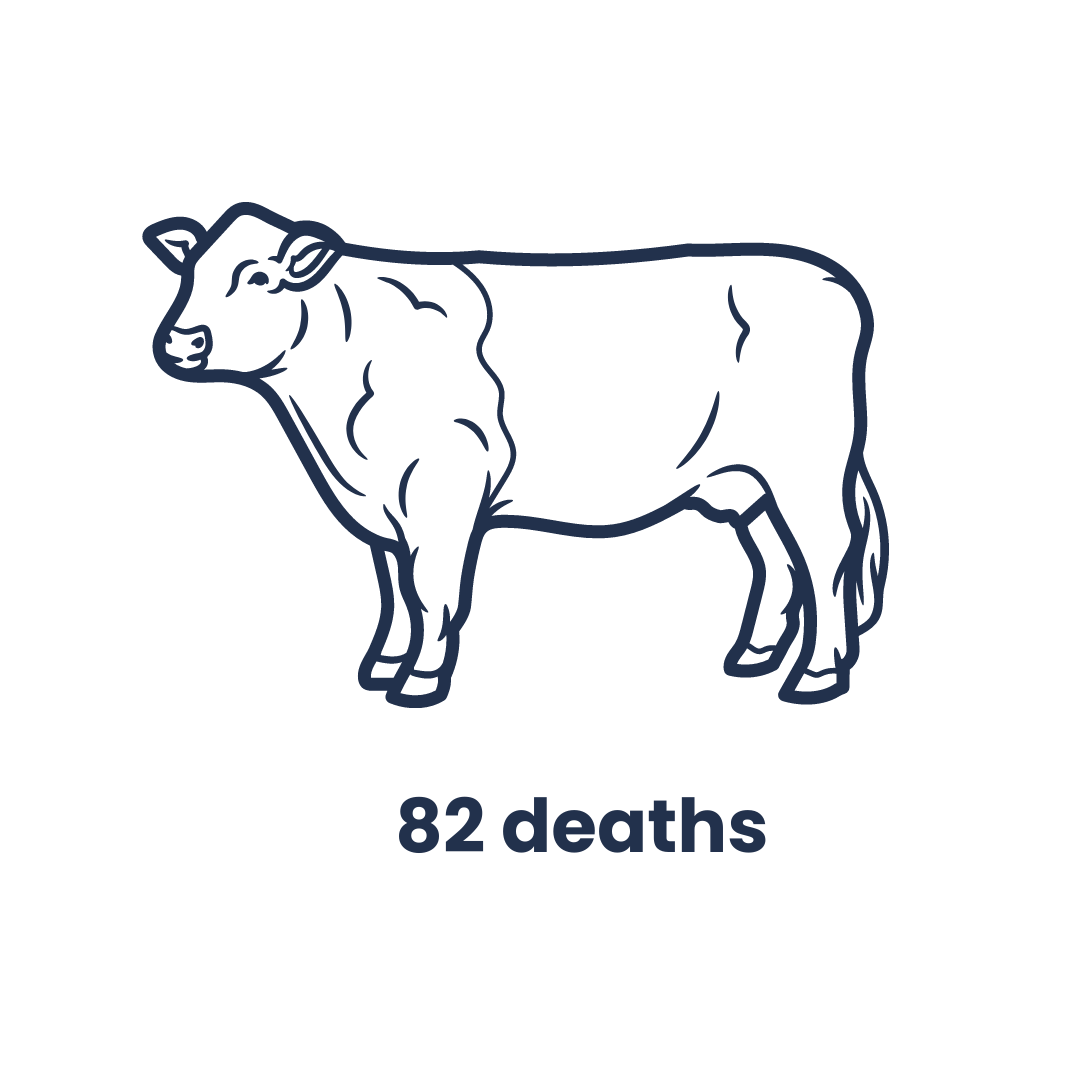 A line drawing of a cow in profile, outlined in dark blue against a black background. Below the cow, the text '82 deaths' is written, suggesting a statistical reference to the number of cow fatalities