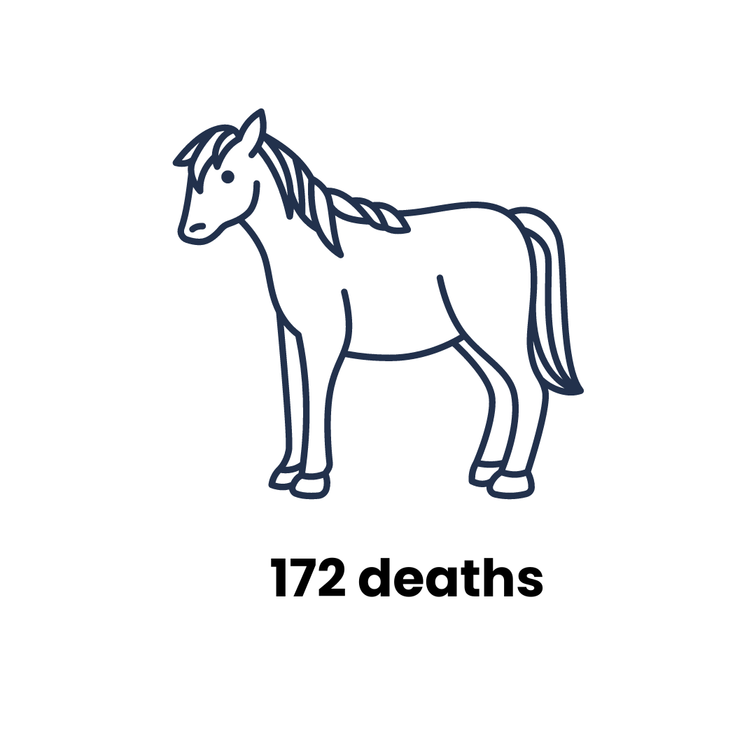 A simple line drawing of a horse on a black background. The horse is depicted in profile with its mane and tail detailed, standing calmly. The image is outlined in a dark blue colour, giving it a stark, minimalist appearance. The words 172 deaths appear