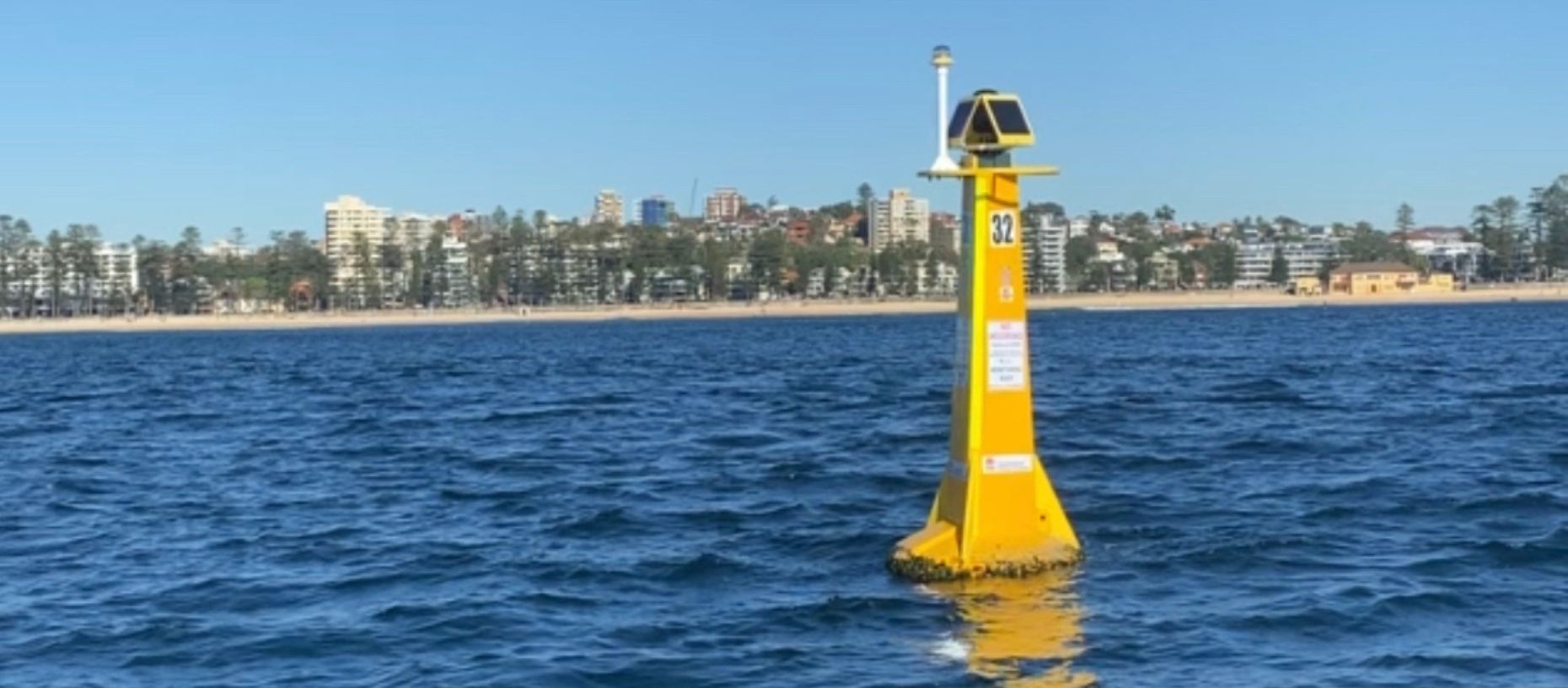 Top 5 effective alternatives to shark nets Action for Dolphins