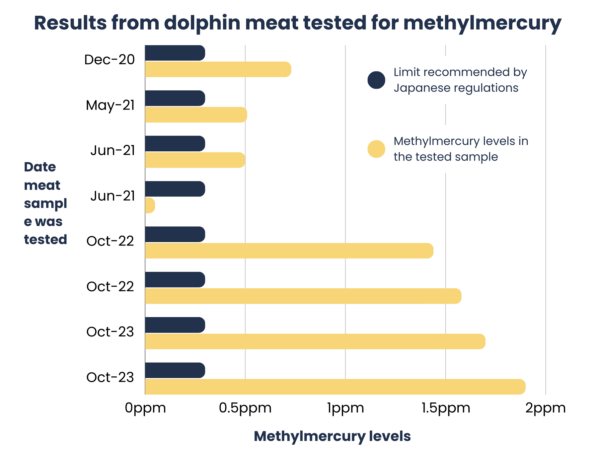  bar chart titled 'Results from dolphin meat tested for methylmercury'. It shows horizontal bars with two colours: blue bars represent the limit recommended by Japanese regulations, and yellow bars indicate the actual levels of methylmercury found in the tested samples. The yellow bars are consistently longer than the blue bars, suggesting that the methylmercury levels in the samples are higher than the recommended safety limits