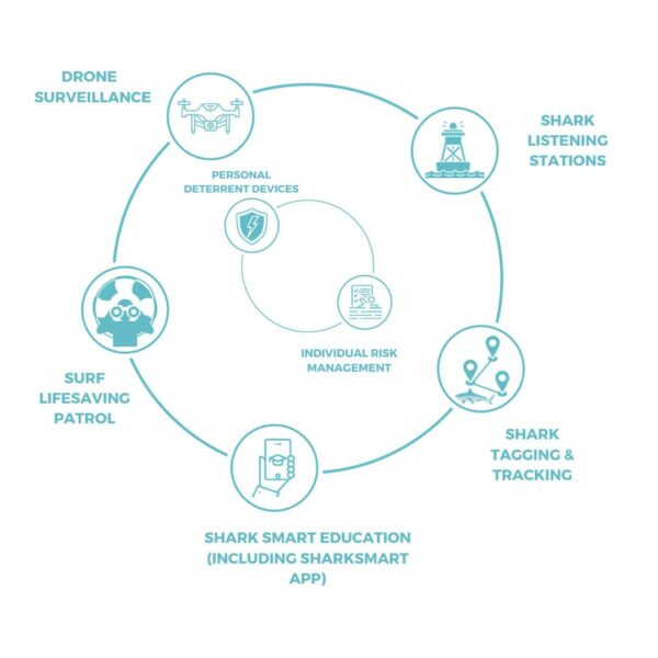 An infographic showing a circular diagram of shark management strategies. The diagram includes icons and labels for various measures: 'DRONE SURVEILLANCE' with a drone icon, 'PERSONAL DETERRENT DEVICES' with a lightning bolt symbol, 'SURF LIFESAVING PATROL' with a lifesaver icon, 'SHARK SMART EDUCATION (INCLUDING SHARKSMART APP)' with a smartphone icon, 'SHARK TAGGING & TRACKING' with a shark fin and location pin icon, and 'SHARK LISTENING STATIONS' with a buoy icon. At the center, 'INDIVIDUAL RISK MANAGEMENT' is noted, signifying the core of these interconnected strategies.