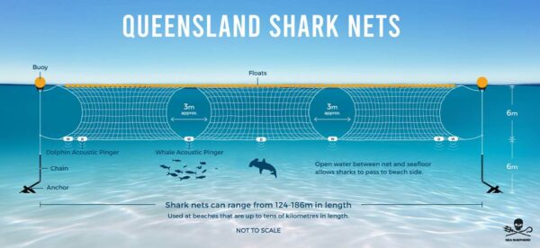 Modernise the QLD shark control program