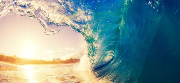 The image captures the dynamic beauty of a curling ocean wave in the moment before it breaks, with sunlight filtering through the translucent blue-green water, creating a brilliant aquatic arc against a bright sky. The golden sunlight is reflecting off the ocean surface, and the shore is visible in the distance, invoking the serene yet powerful nature of the sea