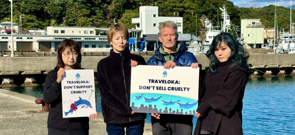 4 people hold signs up at a jetty against Traveloka