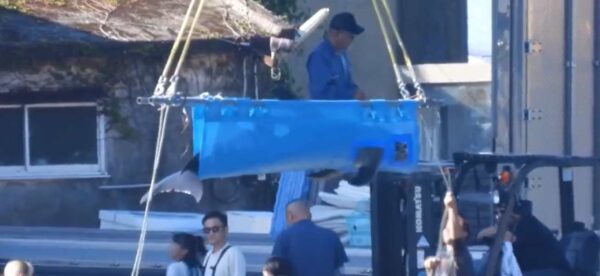 Dolphin-being-transported-in-sling-Taiji-dolphin-hunts