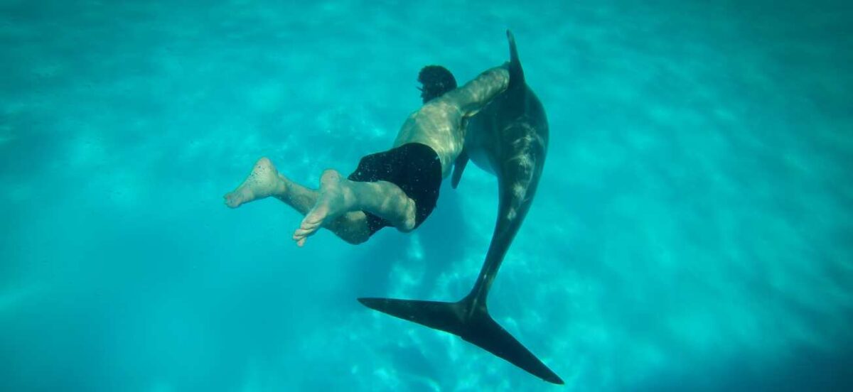 Person holding onto a dolphin as they swim underwater