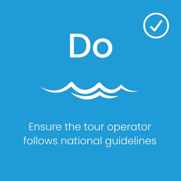 whale-watching-ensure-the-tour-operators-follows-national-guidelines