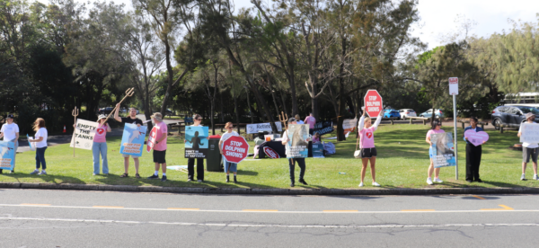 People hold signs protesting sea world on the gold coast on side of road