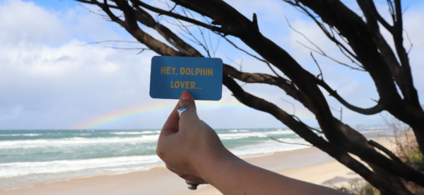 A hand holds a card up in front of a beach for a dolphin and whale watching guide