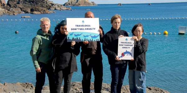 Group of people hold signs protesting traveloka at Taiji cove dolphin