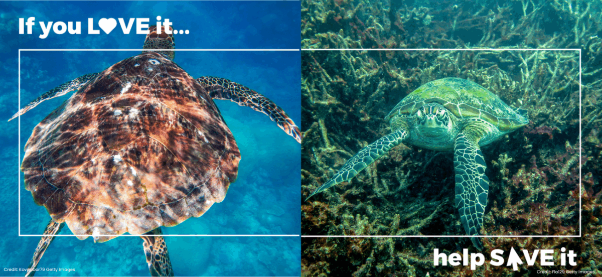 Will the nature law overhaul deliver effective nature protections?
