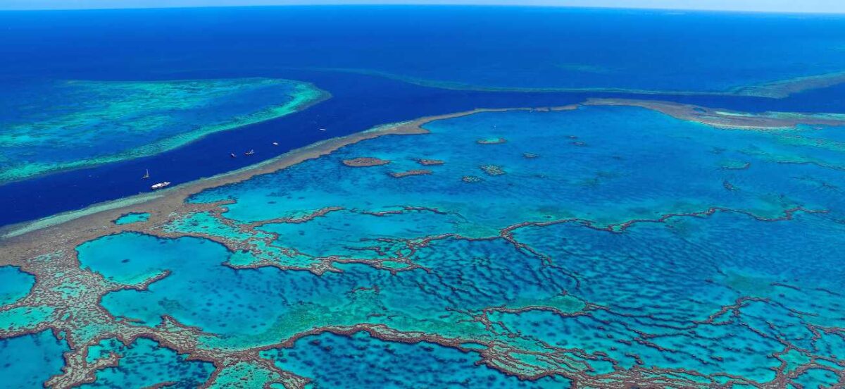 Submission on Australia’s draft new nature laws