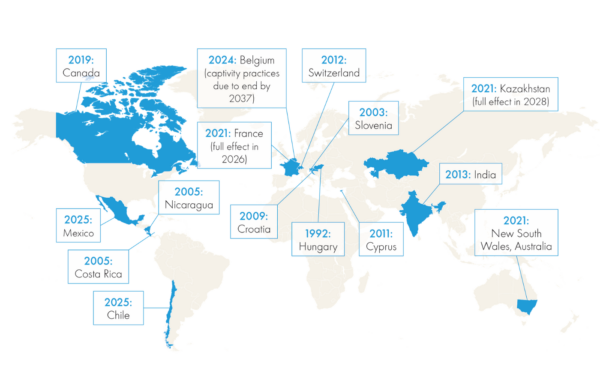 A world map highlighting countries and regions that have passed laws to end dolphin captivity. Labeled regions include Canada, Mexico, Chile, several European nations, India, and New South Wales, Australia, each with the year the legislation was enacted or is set to take full effect.
