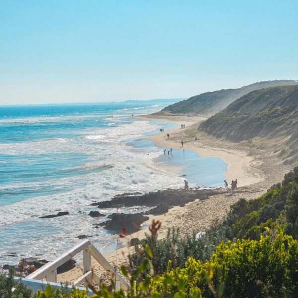 Wooden handrails dissapear in front of foilage leading down to a big beach with cliffs